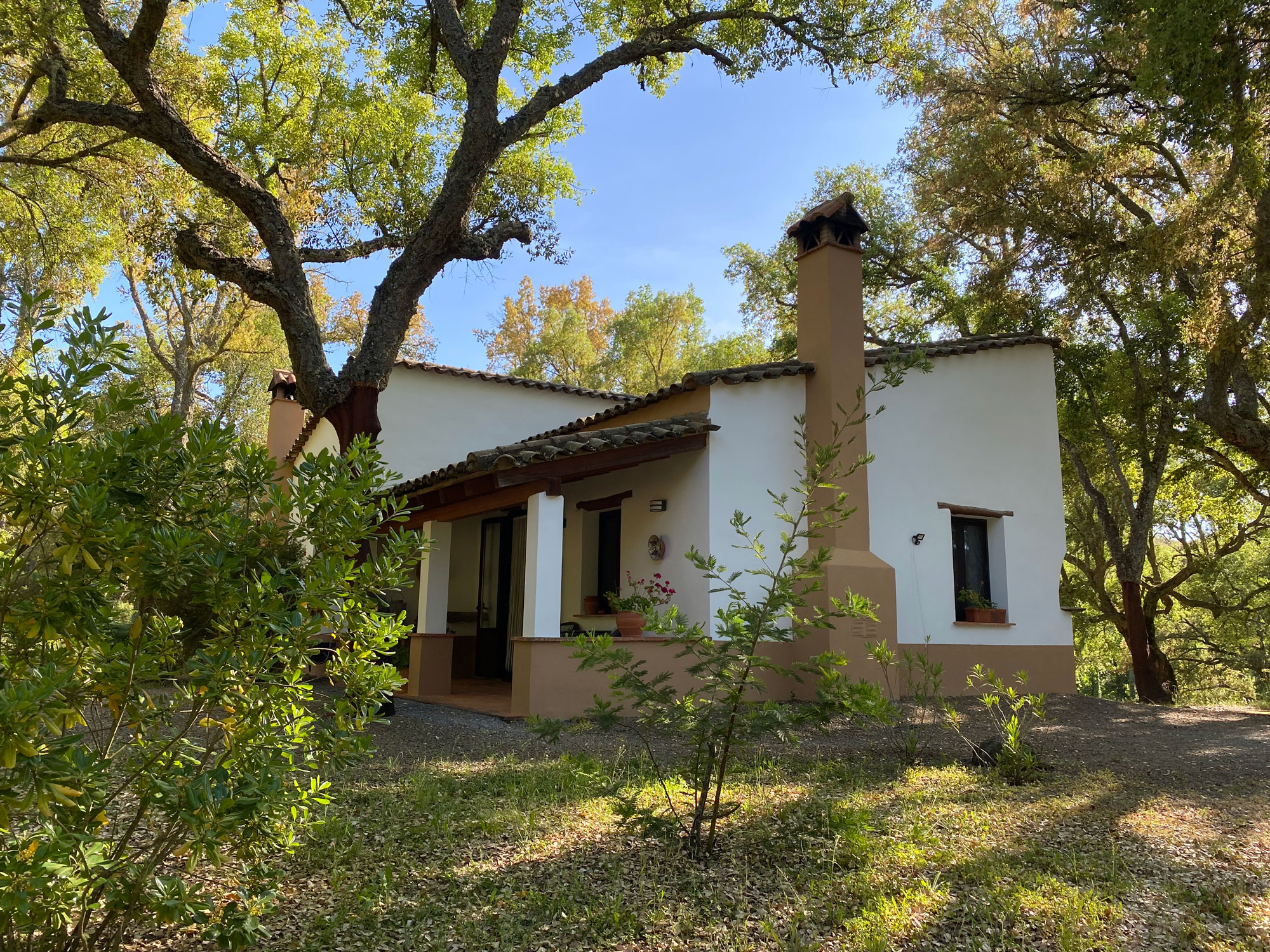 Zona exterior de la Casita del Castaño