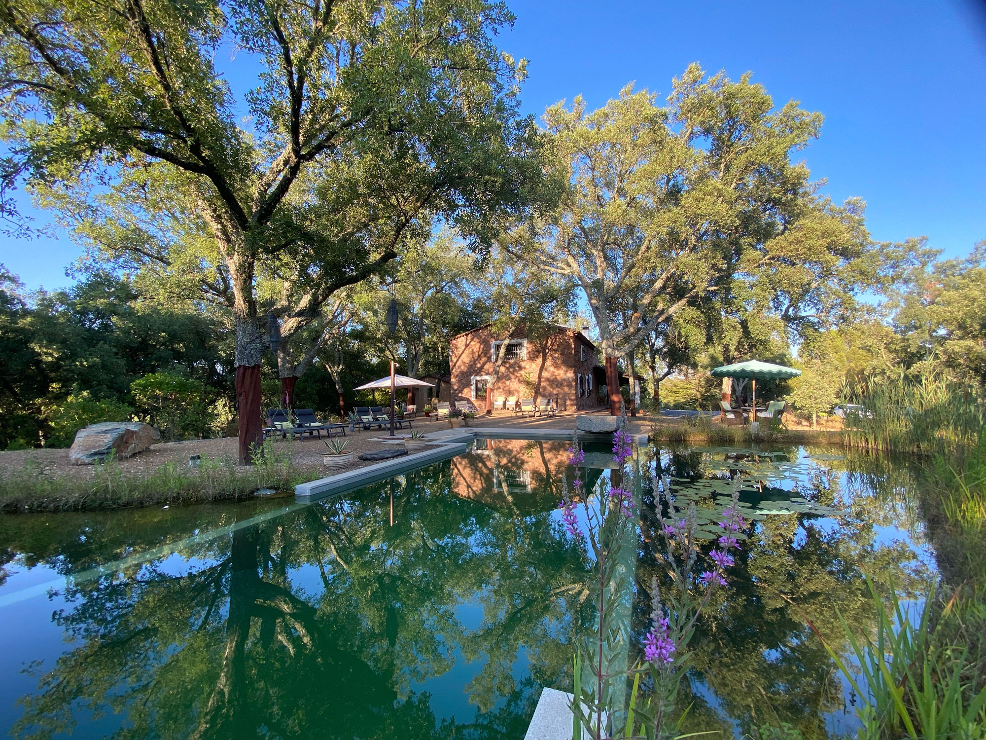 Panorámica de la piscina ecológica con zona de descanso y relax en Valle del Arroyo, Sierra de Aracena, Huelva