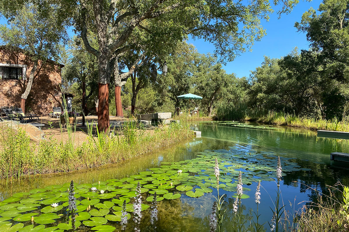 Piscina ecológica en Valle del Arroyo, Sierra de Aracena, Huelva