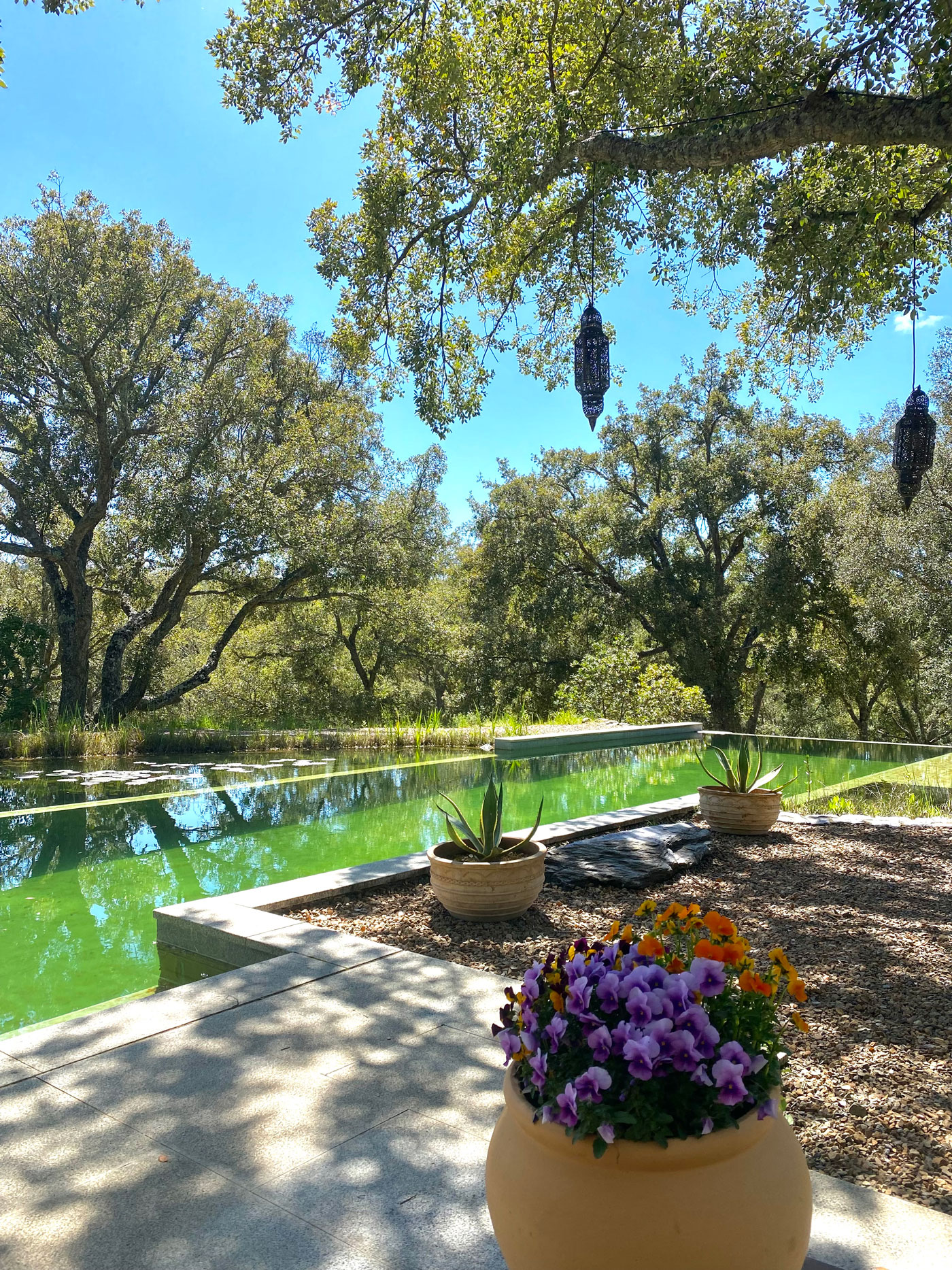 Piscina ecológica