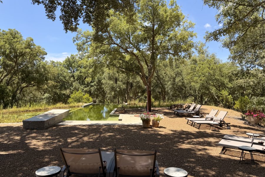 Flotando entre alcornoques: nuestra piscina ecológica en Valle del Arroyo