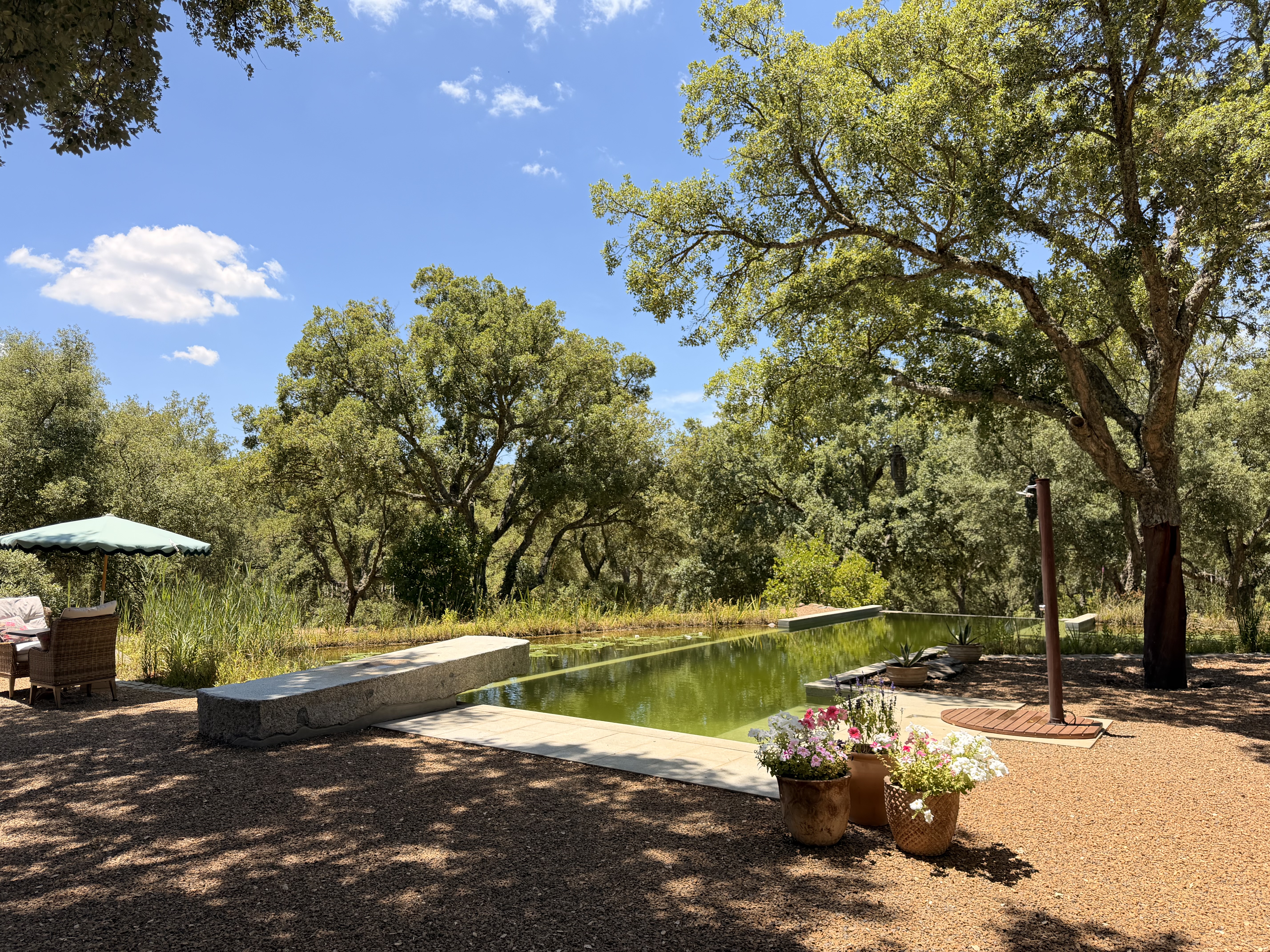 Piscina ecológica integrada en la dehesa de alcornoques de Valle del Arroyo